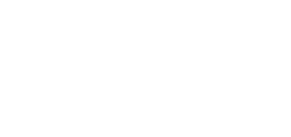 Courage of Life
